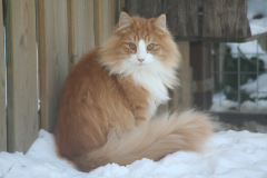 Noortje-in-de-sneeuw